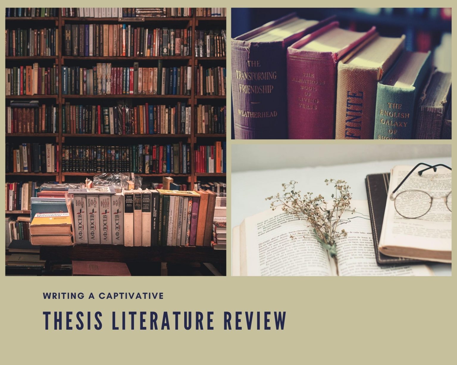 bachelor thesis literature review